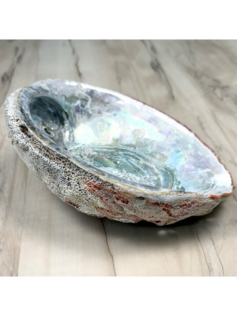 VTG Natural ABALONE SHELL Bowl Iridescent Decor Coastal Large 8"x6" Pink Silver